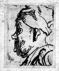 Old Man with a Snub Nose